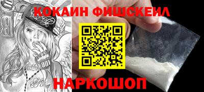 индика Камышлов