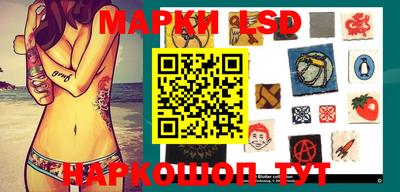 индика Камышлов