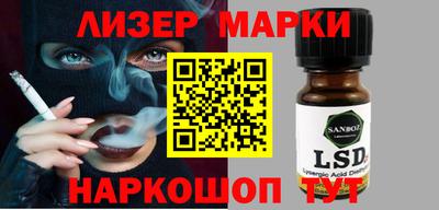 индика Камышлов