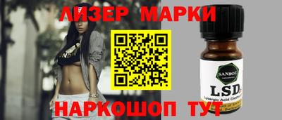 индика Камышлов