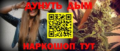 индика Камышлов