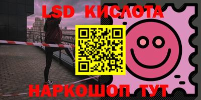 индика Камышлов