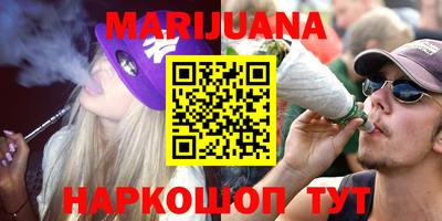 индика Камышлов