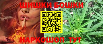 индика Камышлов