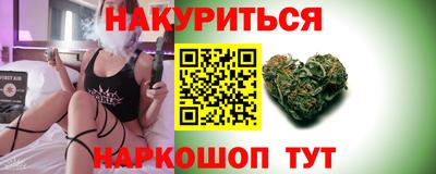 индика Камышлов