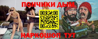 индика Камышлов