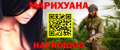 индика Камышлов