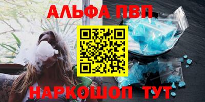 индика Камышлов