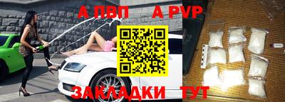 индика Камышлов