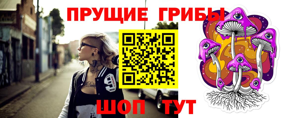 Галлюциногенные грибы мицелий  Псилоцибиновые грибы Cubensis  Минусинск  сколько стоит  Вход с VPN 